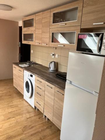 Апартаменти Apartmanovy Dom Slavia Бойниці Екстер'єр фото
